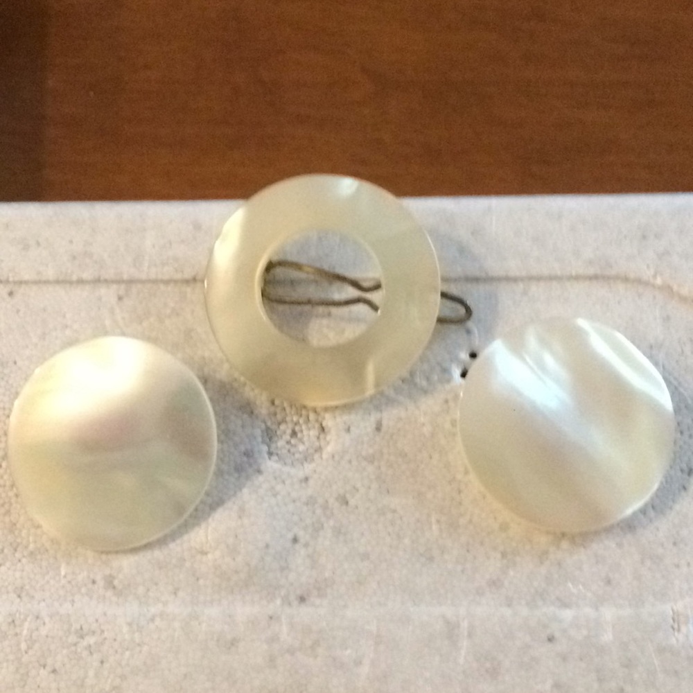 Vintage abalone hair pin and matching earrings